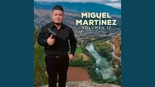 Volumen 11