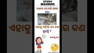 odia Gk || general knowledge || study machine || #shorts  #odia #odisha #education #gk 🙂