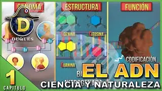 ADN 🧬 | Estructura, Función, Genoma