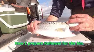 Как я готовлю кахаваи к выбрасыванию в мусорное ведро