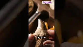 Neanderthal Bone Tool Discovery Changes Everything We Knew