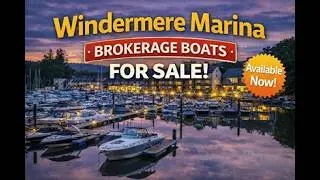 Sealine Boats for sale in Windermere
