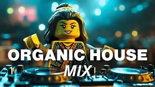 Organic House Mix | Anna Paloma Blanca