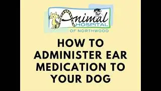 How to Administer Ear Medication to Your Dog