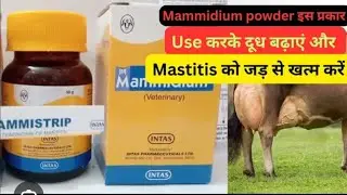 MAMMIDIUM | SUPPORTIVE THERAPY FOR MASTITIS | BREAST INFLAMMATION | ASHUTOSH SINGH CHAUHAN #anima...