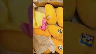 Mangoes price in Dubai Pakistani #mangoes #dubai #fruit
