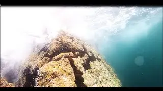 Chasse Sous Marine Mai, Bretagne , Vent du Nord et Nez bouché !!!  #spearfishing