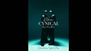 twocolors x Safri Duo x Chris de Sarandy - Cynical (Nylax Hardstyle Bootleg/Remix)