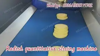 Radish quantitative slicing machine for canteen restaurant