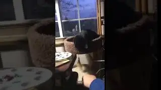 Nighty.mp4