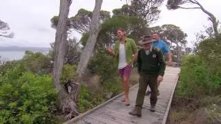 The Unique History Of The Killer Whale Trail - Coxy's Big Break