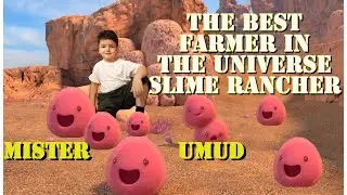 THE BEST FARMER IN THE UNIVERSE  SLIME RANCHER