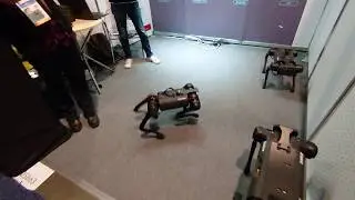Demonstration Robot Dog resembling boston dynamics spot -  CES 2020 January 9