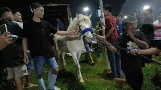 PERSIAPAN PACUAN KUDA TRUSMI CIREBON 2025
