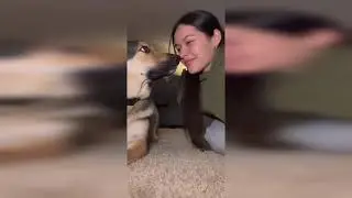 GIRLS FARTING ON DOG COMPILATION!