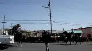 The Cow Palace
