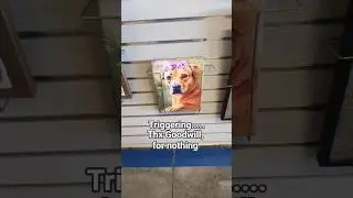 Thrifting gone bad... #art #decor #dog #goodwill #why #cheap #thrift #sad #emotional #shorts #video
