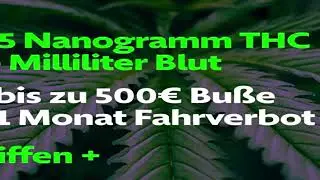 Neue Cannabis-Regeln f&uuml;r Autofahrer #cannabis #gras #auto #autofahren #grenzwert #thc