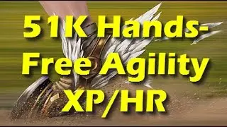 RS3 - AFK 51k AGILITY XP/HR - Silverhawk Boots v.2