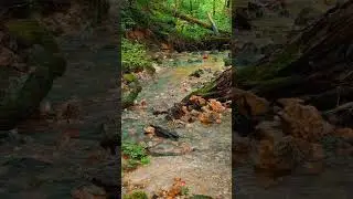 Mossy Creek Ambience | Soft Ambient Music (4K)