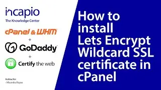 How to install Let's Encrypt Wildcard SSL certificate in cPanel | Certify The Web | DNS-01 challenge