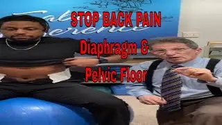 Diaphragm and Pelvic Floor Exercises for Back Pain!