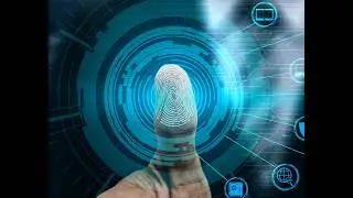 Navigating the Digital Frontier