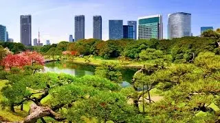 Mapping Green Infrastructure for the U.S. Land Conservation Community