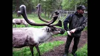 Midnight Sun eJournalism Course in Lapland