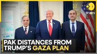 Pakistan FM Ishaq Dar Distances From Donald Trump&rsquo;s Gaza Plan | WION
