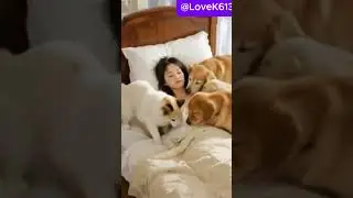 Wake  Up#FairyTaleRemix#FunnyFairyTale#WakeHerUp #funny #cute#cat #dog  #animals #funnycats