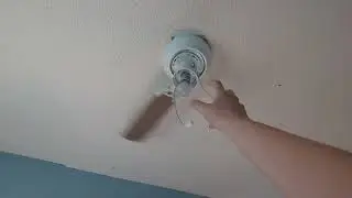 The Hampton Bay Littleton Ceiling fan with 1 blade