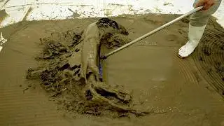 Pulled From a Flooded Basement - The Mud Just Wouldn’t Stop - Carpet Cleaning ASMR