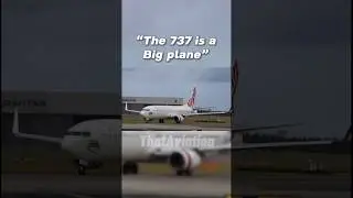 Compared to an a330.. #aviation #plane #737 #a330