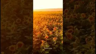 Slow Dance Songs That Will Make You Cry #music #viralvideo#slowdance