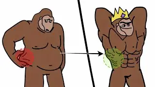 10 Trucos Para PERDER GRASA Rápidamente Explicado Por un Mono