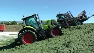 Silage '19 - Pitwork with TWO Buckrakes!
