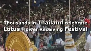 Thousands celebrate Lotus Flower Receiving Festival in Thailand