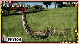 On ESSAYE de se BATTRE ! | ANIMALIA SURVIVAL  | Gameplay FR
