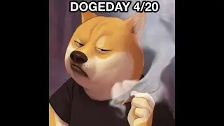 Doge 獨秀，馬上又要 