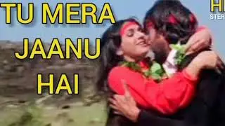 Tu Mera Jaanu Hai | Romantic Hit Song | Hero (1983) | Jackie Shroff, Meenakshi Seshadri |