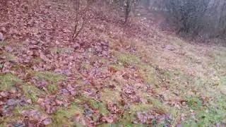 Место - близнец как в  Белино, но это не в Белино
