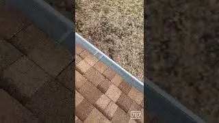 Say goodbye to clogged gutters! 🍂