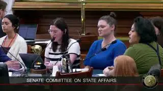 Veronikah Warms, Texas Civil Rights Project, testifies in opposition  to SB2880