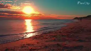 Ocean Beach Sunset 🌅 Calm Waves & Birds | Relaxing Nature Sounds for Sleep, Study & Peace (30 Min)