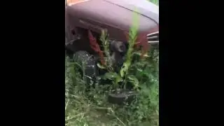 Old junk cars