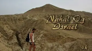 Nahal Og, Israel HD 4K