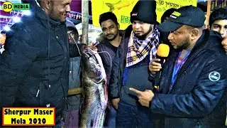 Sherpur Moulvibazar Fish Mela 2020 Most Expensive Fish Bangladesh শেরপুর মৌলভীবাজার মাছের মেলা ২০২০