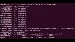 Setup mysql 5.7 with docker on VPS