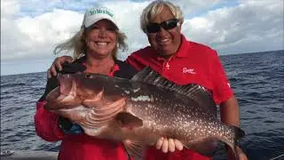 Let's Take It Outside with Misty Wells: Time running out on grouper season